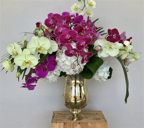 Orchids Gift in Fort Lauderdale, FL | Art of Petals