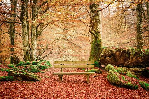 Cinco paisajes para un otoño en Navarra