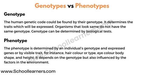 Difference Between Genotype and Phenotype - schoollearners.com