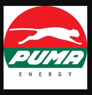 Puma Energy Inviting Applications From Job Aspirants - CA Page