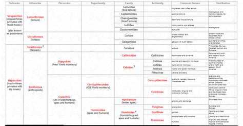 I.1.5 Primate taxonomy- 2 – Self Study for Anthropology