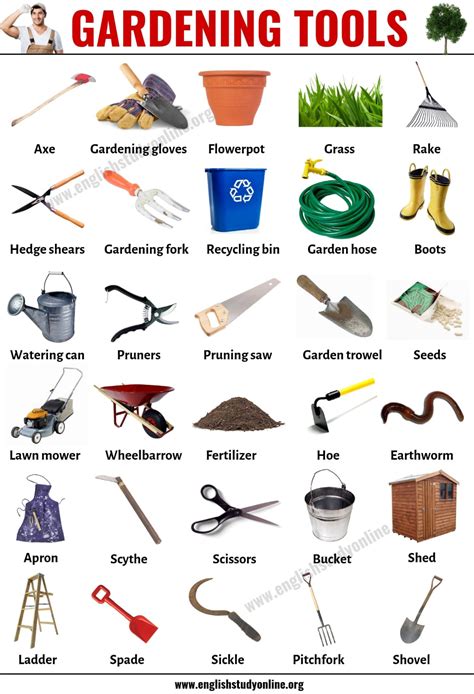 Gardening Tools: List of 30 Useful Tools Names for Gardening