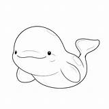 Beluga Whale coloring Pages – Coloring Corner sketch template