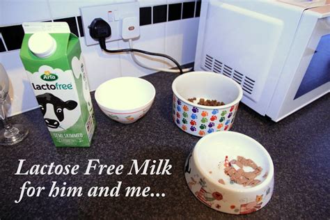 Lactose free milk for me and my cat – Michael Broad