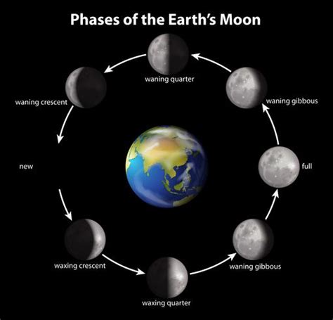 Phases of the Earth's Moon 299330 Vector Art at Vecteezy