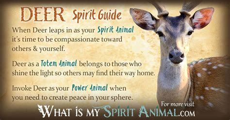 Deer Symbolism & Meaning | Spirit, Totem & Power Animal | Power animal ...