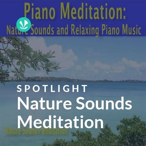 Nature Sounds Meditation - Spotlight - Latest Songs Online - JioSaavn