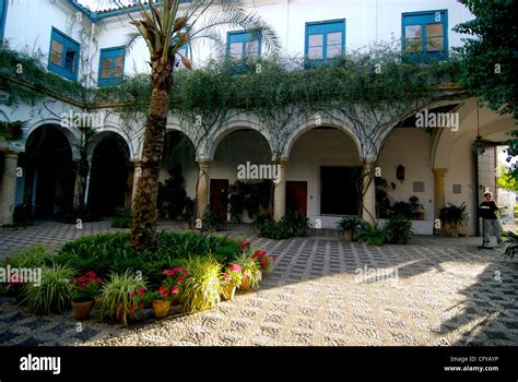 Cordoba. Festival de Patios Cordobeses. Palacio de Viana, Patio de las flores en Cordoba. Potted ...