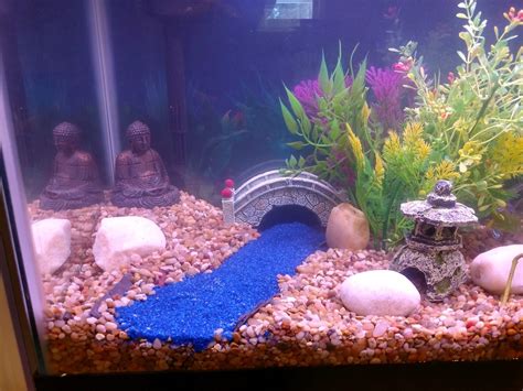 6 Fun Aquarium Decor Ideas to Make Your Fish Tank More Interesting » Wassup Mate