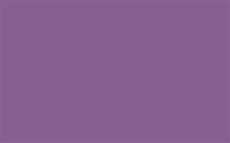 2560x1600 French Lilac Solid Color Background