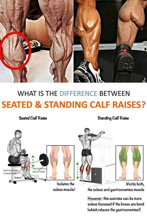 Standing Calf Raise vs. Seated Calf Raise, Difference, Tips, Benefits