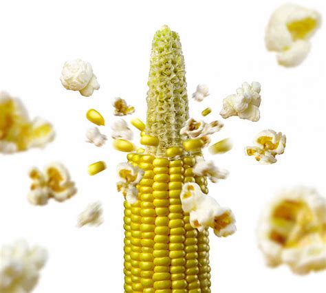 Popping Corn Stock Photos, Pictures & Royalty-Free Images - iStock