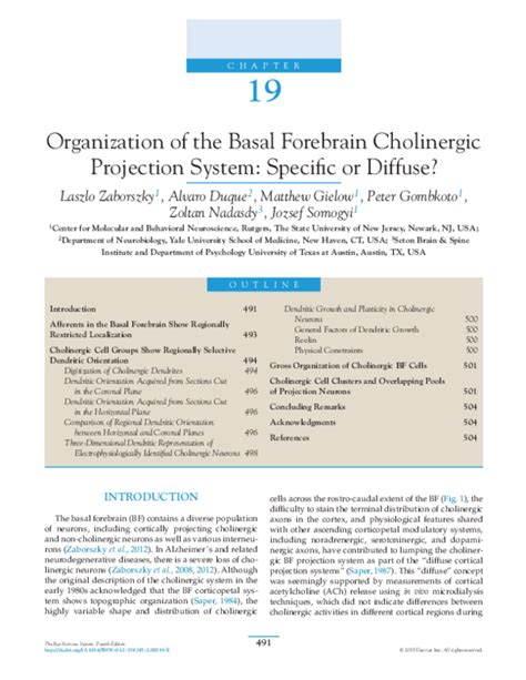 (PDF) Organization of the Basal Forebrain Cholinergic Projection System | Zoltan Nadasdy ...