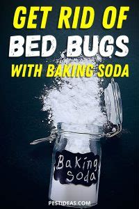 Using Baking Soda to Kill Bed Bugs - Pest Ideas