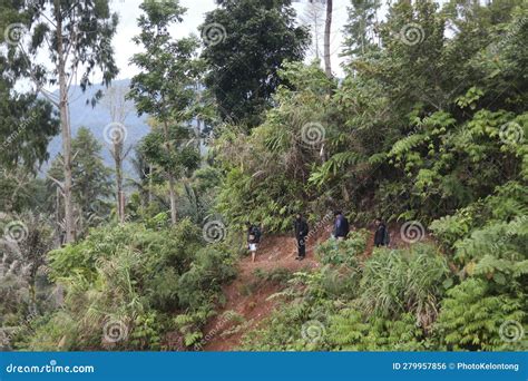 A Group of People Camping Together in Nature Stock Photo - Image of ...