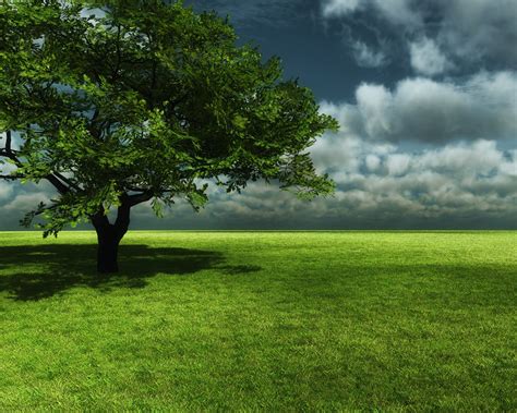 Wallpaper Green meadow, tree, sky, clouds 1920x1080 Full HD 2K Picture ...