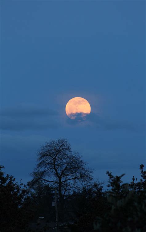 Moon Rising Photograph by E Faithe Lester - Fine Art America