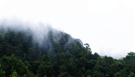 San Jose del Pacifico, Oaxaca: Magic Mushrooms and Mountains