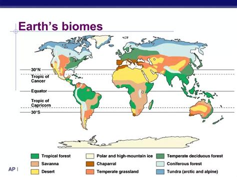 List Of Biomes On Earth - The Earth Images Revimage.Org