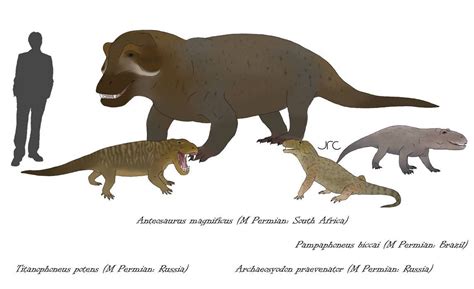 Smiling assassins - Anteosaurs by artbyjrc on DeviantArt in 2021 | Extinct animals, Prehistoric ...