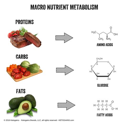 On Energy Balance, Macros and Nutrient Density | Ketogains