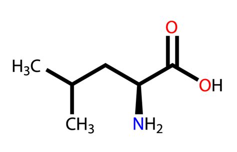 Leucine sources, health benefits and uses