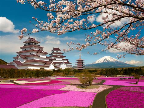 Download Tsuruga-jō Mount Fuji Sakura Japan Volcano Park Man Made Castle HD Wallpaper