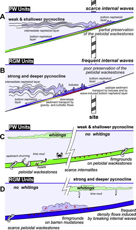 Processes controlling deposition of PW units and RGM units in the... | Download Scientific Diagram