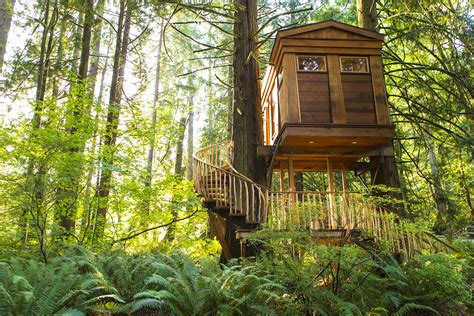 13 best tree house vacation rentals in the USA - Lonely Planet