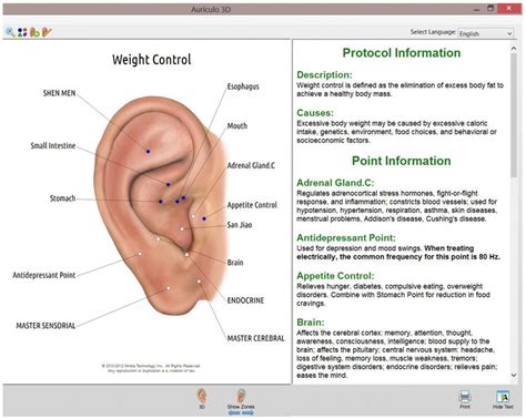 Acupuncture for Weight loss? YES...Here's How! - Acupuncture Technology ...