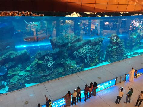 The Dubai mall aquarium Dubai Travel, Dubai Mall, Travel Destinations ...