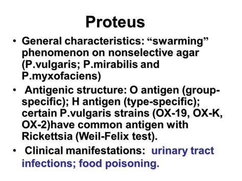 Proteus mirabilis uti antibiotic