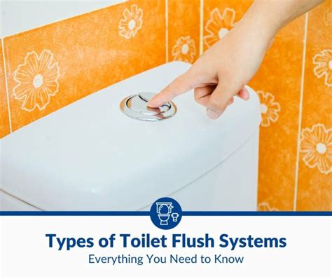 Types of Toilet Flush Systems: The Complete Guide (2024)