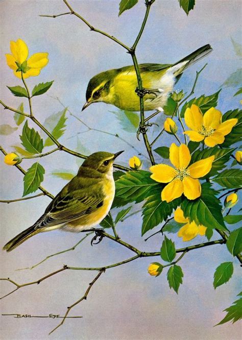 Realistic Oil Painting Of Birds | Иллюстрация птицы, Краска, Отпечатки птичьих лап