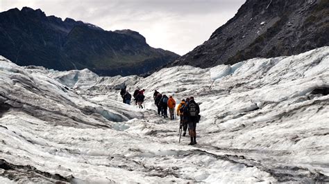 West Coast Custom Tour Photos | Hiking NZ