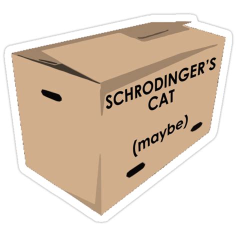 "Schrodinger's Cat Box" Stickers by danzzig | Redbubble