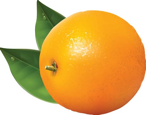 Orange | Oranges PNG Image - PurePNG | Free transparent CC0 PNG Image Library