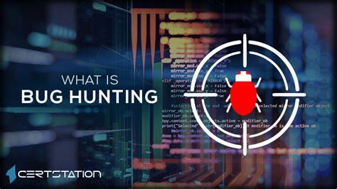 All You Need to Know About Bug Hunting - CERTStation Blog