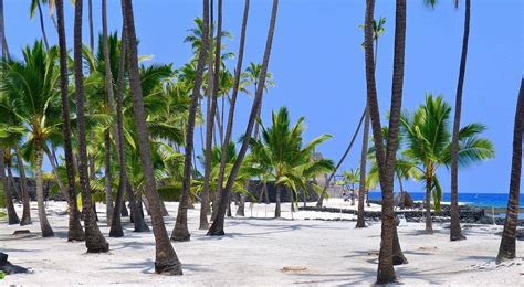 Puʻuhonua o Honaunau National Historic Park (Place of Refuge)