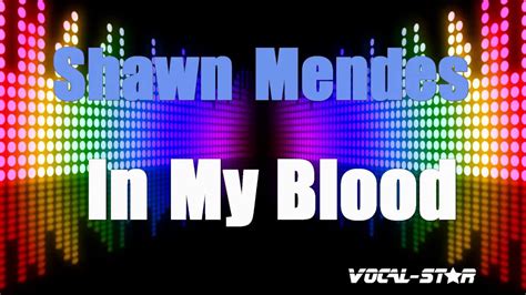 Shawn Mendes - In My Blood (Karaoke Version) Lyrics HD Vocal-Star ...