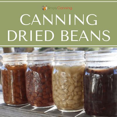 Canning dried beans is the ultimate quick meal starter! SimplyCanning