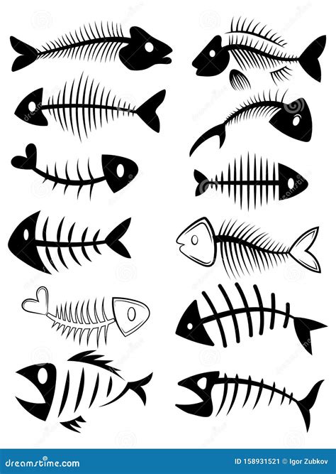 Set of Silhouettes of Fish Skeletons. Collection of Fish Bones. Black and White Vector ...