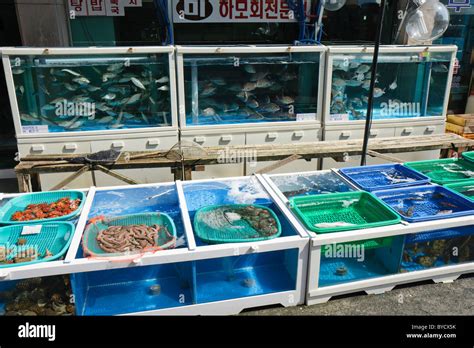 Live fish market, South Korea Stock Photo: 34090047 - Alamy