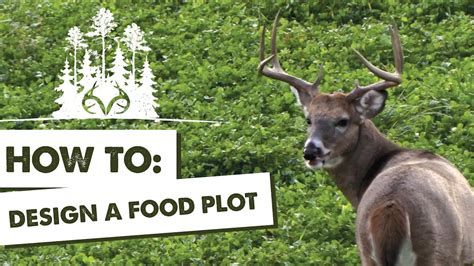 Best Food Plot Designs | Manipulating Deer Travel Routes and Patterns | Pay Dirt - Pay Dirt ...