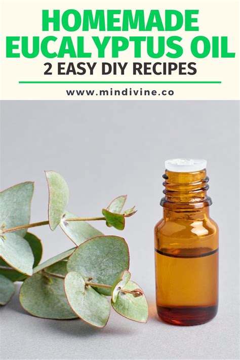 How to Make Eucalyptus Oil 2 Simple Methods