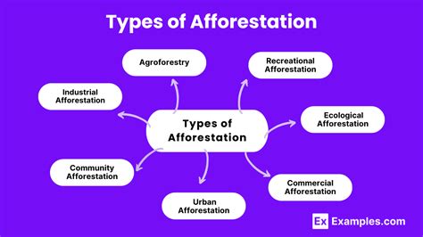 Afforestation - Definition, Examples, Types, Importance, Benefits & More