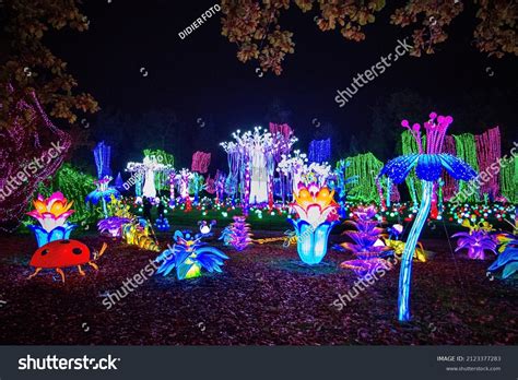 1,282 Electric forest festival Stock Photos, Images & Photography | Shutterstock