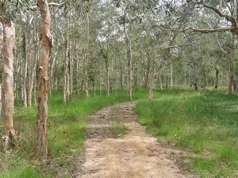 Hiking at the Glass House Mountains - Queensland, Australia