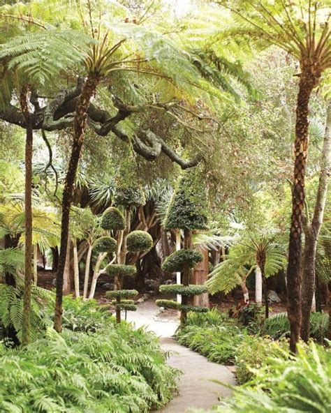 A Tour of Lotusland | Ferns garden, Garden tours, Dream garden