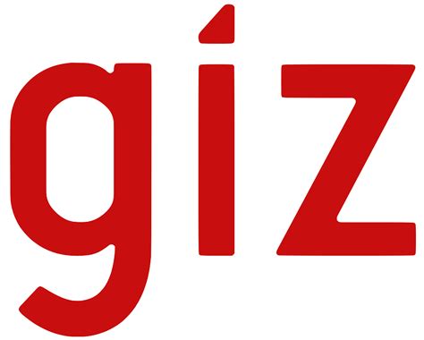 CHARGÉ IT - GIZ Cameroun | Louma Jobs Cameroun